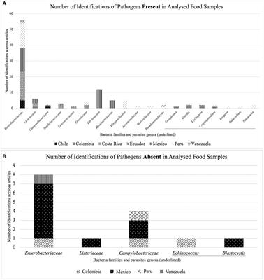 Food safety in Latin American informal food establishments